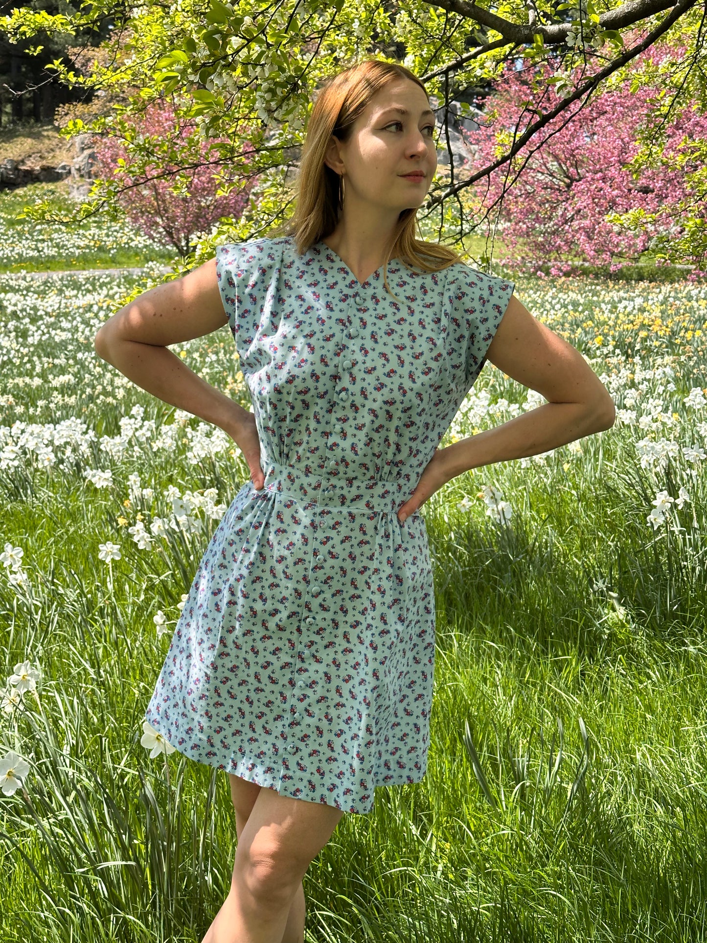 Apple Acres Dress