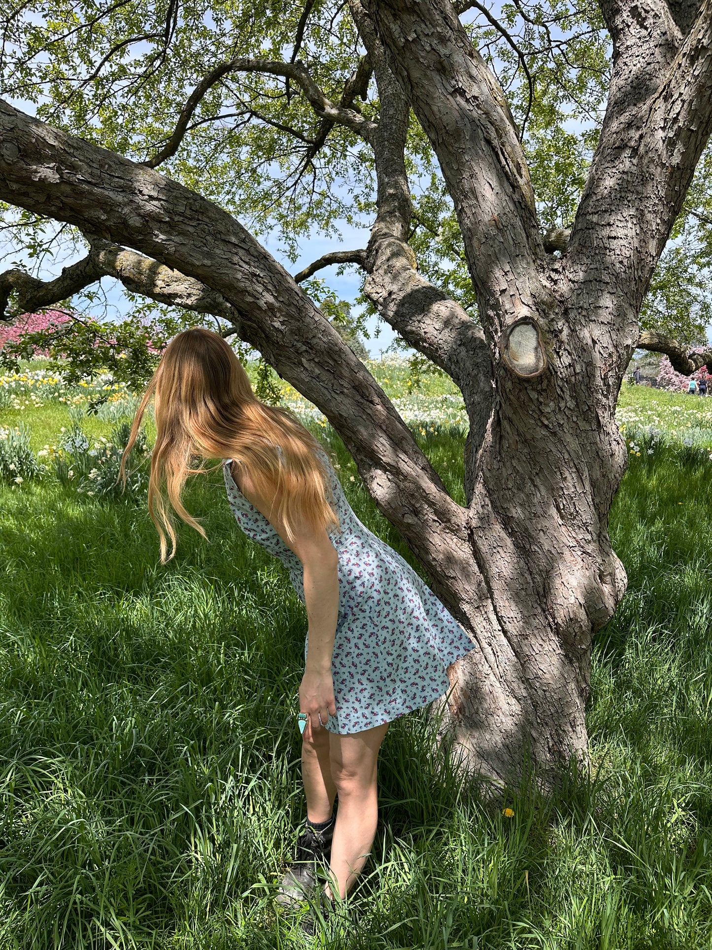 Apple Acres Dress