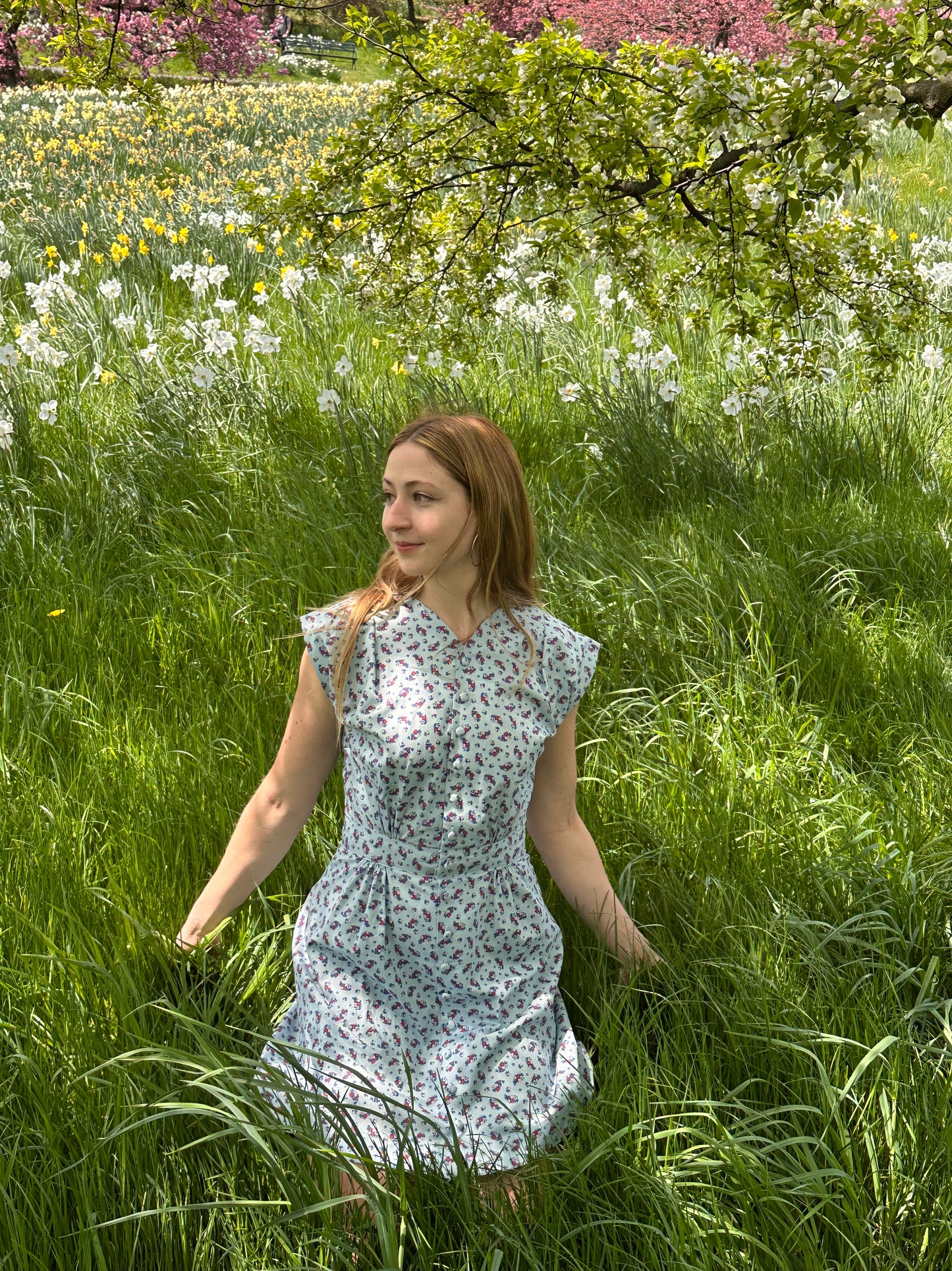 Apple Acres Dress