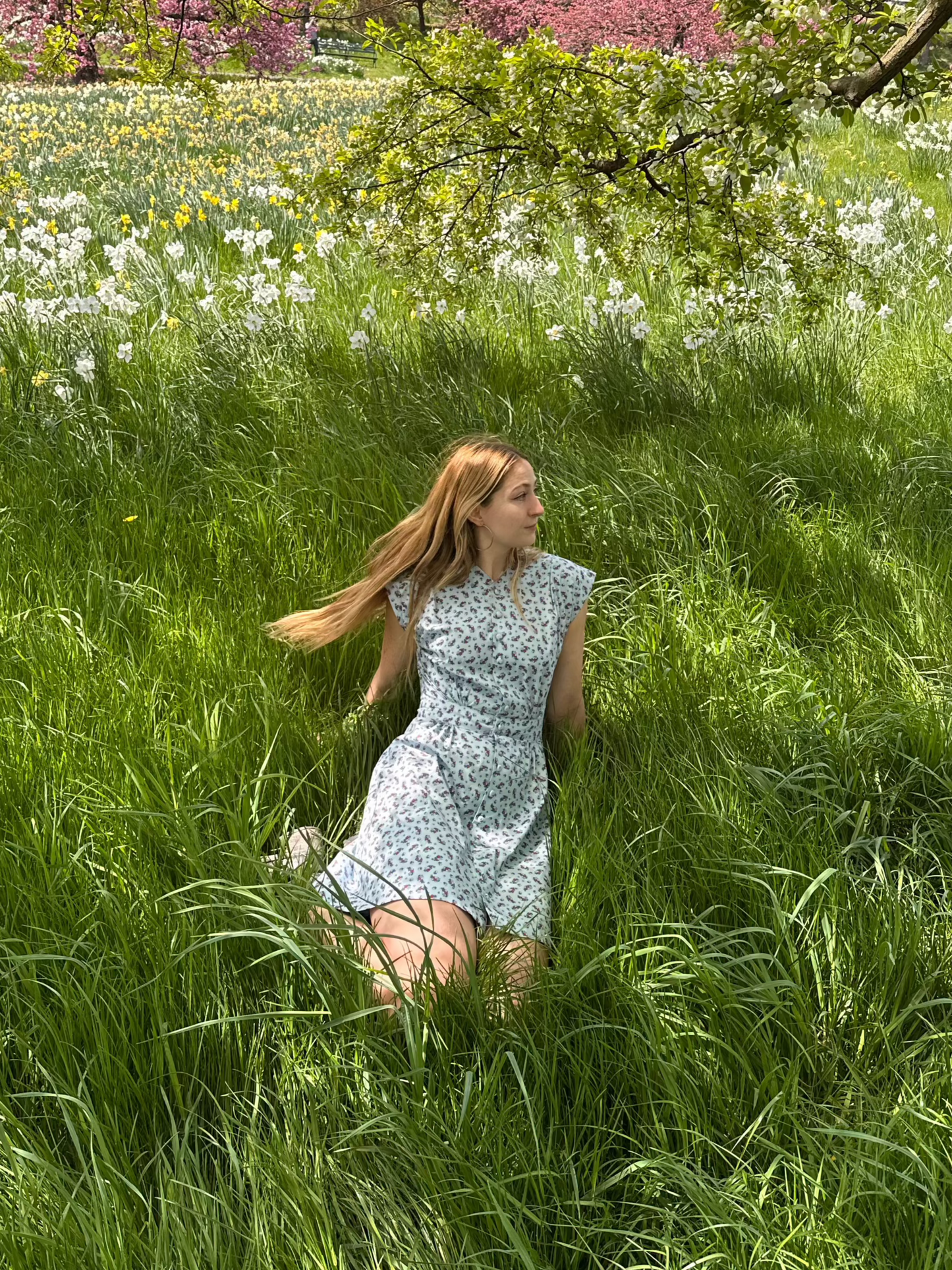 Apple Acres Dress