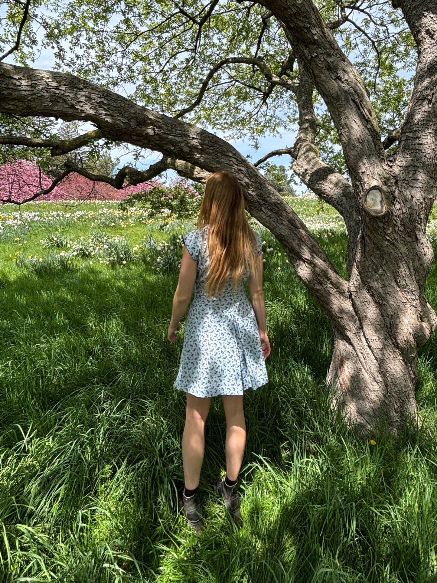 Apple Acres Dress