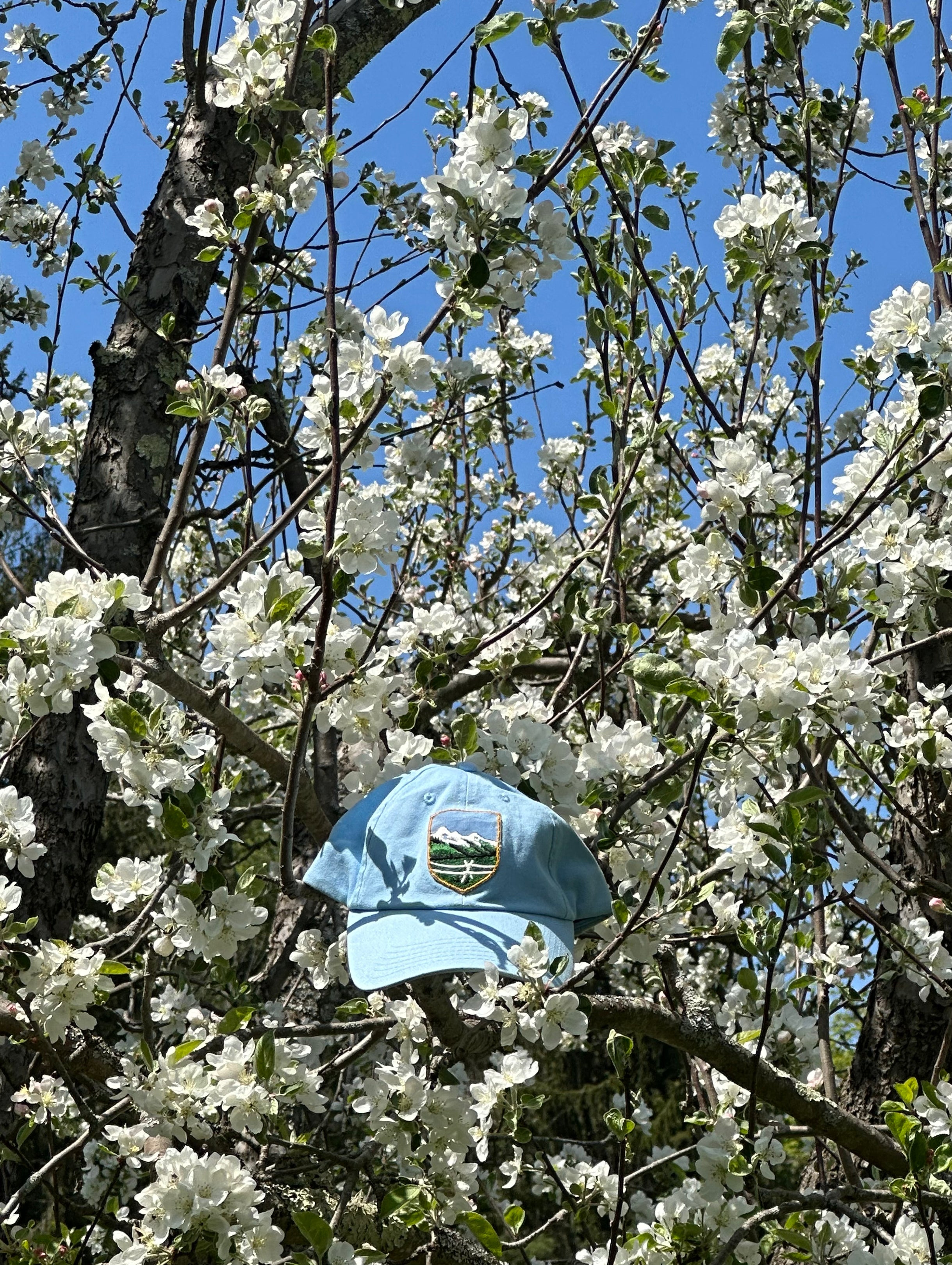 Natural Spring Cap Caps – Perennial Spring
