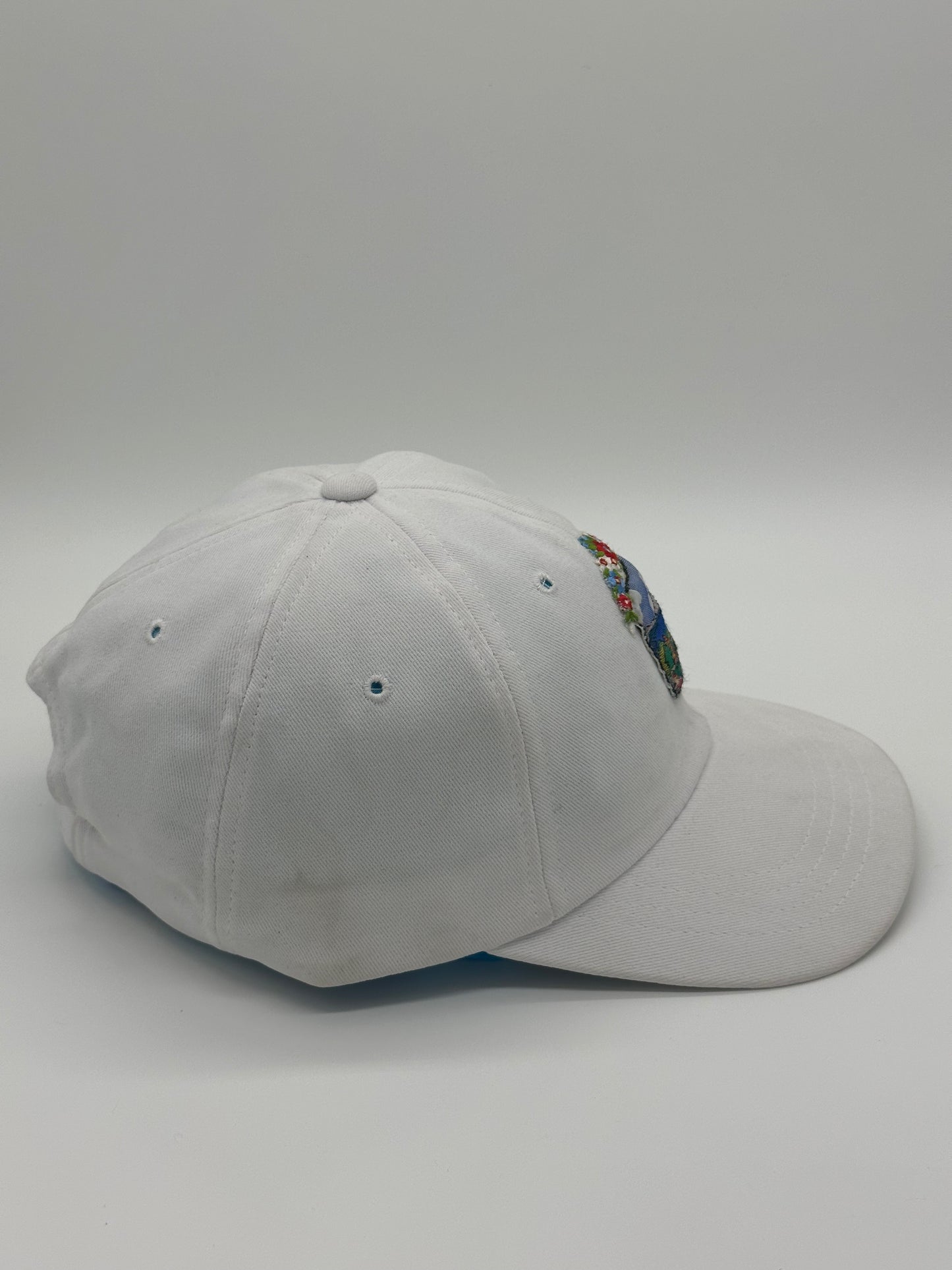 Portal Cap with Mountain View